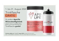 ApoLife Mineralstoffgetränk BCAA Johannisbeere 320 g